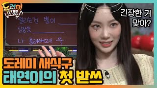 도레미 새식구 태연이의 첫 받쓰 (ft.잘살린다!!!)#놀라운토요일-도레미마켓 | amazingsaturday EP.135 | tvN 201121 방송