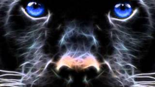 Naked Truth - Black