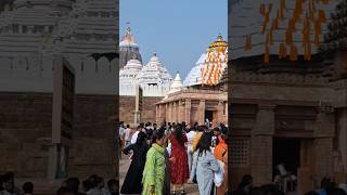 Nabakalebar kebe hue⭕❕⭕ ନବକଳେବର #nabakalebara #facts #culture #jagannath #puri #when #how #why