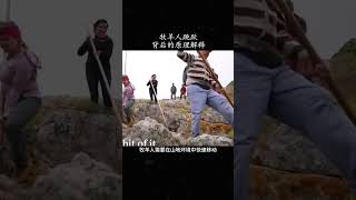 牧羊人的跳跃工作原理解释 #科普 #涨知识 #科学 #shorts