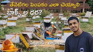 తేనెటీగల పెంపకం వ్యాపారం – లాభాలు, ఖర్చులు, పూర్తి గైడ్!