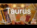 TAURUS LOVE READING TODAY- THEY KNOW WHAT THEY WANT AND IT'S YOU!! 💗💫