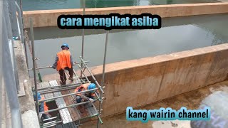 cara mengikat asiba