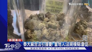 泰大麻合法引擔憂! 當地人:法規模糊.倉促｜TVBS新聞 @TVBSNEWS01