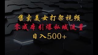 售卖美女打架视频，零成本，谁发谁火，加爆私域，日入500+