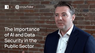 The Importance of AI & Data Security in the Public Sector | De-Risking Data