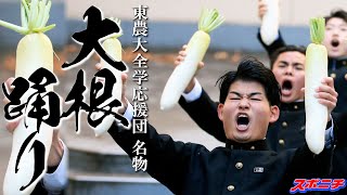 【東農大名物応援】全学応援団の練習に密着！「大根踊り」に魂込める【第１００回箱根駅伝】#東農大　#大根踊り　#箱根駅伝