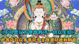 《不可思议方便智救济一切众生经》此菩萨在众多菩萨中专主智慧、功德和财富，财富如虚空一样广阔无边，