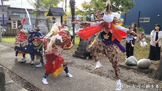 伏木 加古川の獅子舞 2023年 / 富山県高岡市伏木