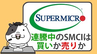 エヌビディア対応能力の更新を受け、スーパーマイクロコンピュータ株が急騰【2025/02/08】