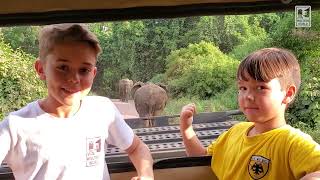 The Don'ts of Multi-Generational Travel