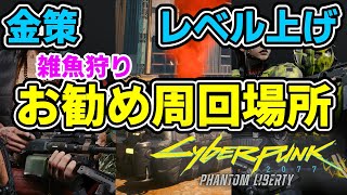 【Cyberpunk 2077 Phantom Liberty】ドッグタウンで金策するならここを周れ！【金策/レベル上げ/アイテム部品/投下物資待機】