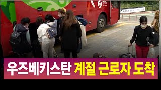 R]우즈베키스탄 계절 근로자 영양 도착 / 안동MBC