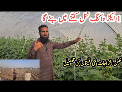 Is Tunnel farming profitable in Pakistan?