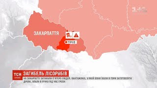 У пам'ять про загиблих лісорубів на Закарпатті приспустять державні прапори