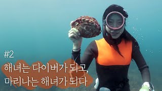 그 어떤 다이버도 들어가보지 못한 제주 바닷속으로! (해녀는 다이버가 되고, 마리나는 해녀가 되었습니다 2편)