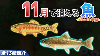 【あつ森】11月で消える魚を全て紹介！魚影や出現時間・条件・値段・釣り方のコツも徹底解説！ゴールデントラウトやオオイワナなどレア魚を効率よく釣る方法【あつまれどうぶつの森　11月魚図鑑コンプリート】