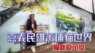 【悠閒生活】[嘉義民雄 菁埔貓世界]貓咪壁畫|鄉間小聚落|派出所圍牆