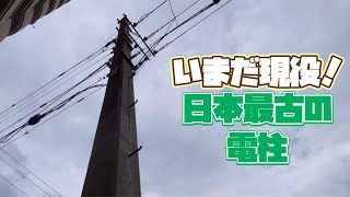 日本最古のコンクリート電柱と会ってきた【函館】