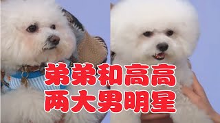 李佳琦的直播间|李佳琦的狗子们|电音朵拉秦岚姐姐来抱弟弟和高高啦