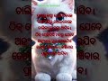 ପ୍ରଥମ ପ୍ରେମ ର💘💘💘 motivational speech motivation encouragement inspirational videos