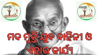 ମଦ ମୁକ୍ତି ଯୁବ ବାହିନୀ କଣ ଓ ଏହାର କାର୍ଯ୍ୟ କଣ ? ||odia ||MMYB ODISHA