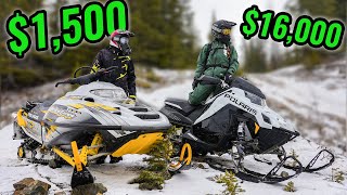 CHEAP vs EXPENSIVE Snowmobile in the Backcountry!!