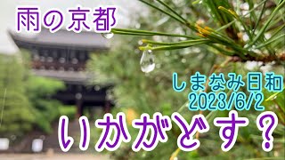 しまなみ日和 Vol .534 雨の京都はいかがどす？　大雨警報下の京都もまた趣きあります　2023/6/2