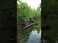 Penghuni hutan mangrove batam || Berkano keliling hutan mangrove