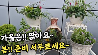 가을은 짧아요,봄!준비 서두르세요/볼품없는 꽃들 모아심기로 생명불어넣기