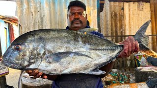 KASIMEDU 🔥 SPEED SELVAM | BIG BLACK TREVALLY FISH CUTTING VIDEO | IN KASIMEDU | FF CUTTING 🔪