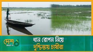 বিদ্যুৎ সংকটে বাধাগ্রস্ত হাওড়ের সেচ কার্যক্রম | Moulvibazar hoar | Desh TV News