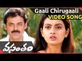 Gaali Chirugaali Video Song || Vasantam Movie || Venkatesh Kalyani || shalimarcinema