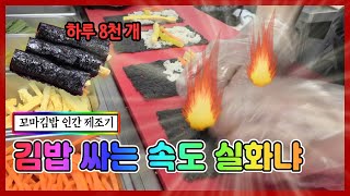 김밥 싸는 속도 실화냐?  하루 8천개 김밥 싸는 꼬마김밥 제조기_세.모.달