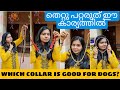 NECK COLLAR SELECT ചെയുമ്പോൾ ശ്രദ്ധിക്കേണ്ടതെന്തെല്ലാം |#petvlogsmalayalam #doghealth #dogs