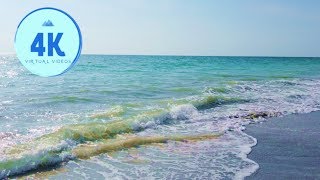 4K Virtual Walk - Tampa Bay - Sandy Beach