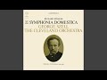 Sinfonia Domestica, Op. 53 (Remastered) : Scherzo (munter) - Wiegenlied. Mässig langsam