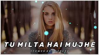 Tu Milta Hai Mujhe ||slowed + reverb💕|| #slowed #reverb