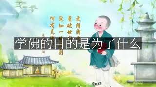 【人间修行录】 学佛的目的是为了什么