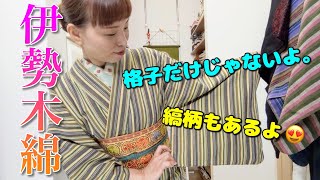 木綿着物特集。伊勢木綿。保温性が高くマットな質感。格子だけじゃないよ。縞柄もあります。