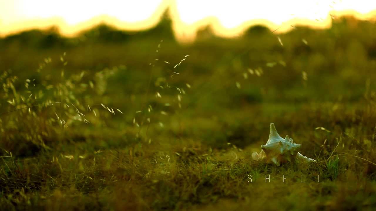 Shell Trailer Youtube