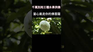 千萬別用三種水果供佛，當心氣走你的佛菩薩！#佛教 #風水 #祭祀