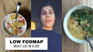 What I Eat in a Day Low-FODMAP Diet  | 2 Week Low FODMAP Challenge