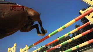 Equimins TV advert- Horse \u0026 Country TV