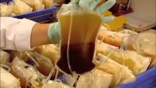 Blood Bank Processing