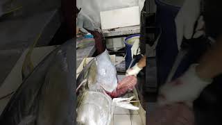 skills mantap potong ikan tuna loin #shorts #freshfish #subscribe #bigtuna