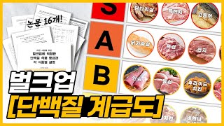 논문 16개로 만든 [벌크업 단백질 계급도]ㅣ완벽 정리 PDF파일 첨부