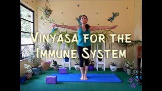 Vinyasa for the Immune System