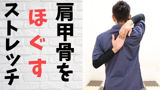 【肩甲骨はがし】ガチガチな肩甲骨をほぐすストレッチ！目指せ天使の羽！【背中で手がくっつく】