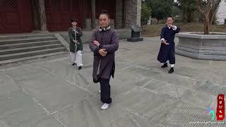 Wudang Tai Chi 28 Form